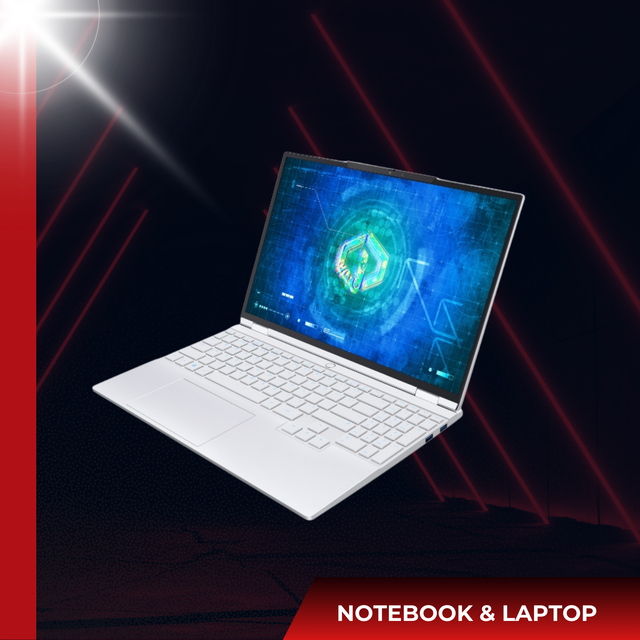 Notebooks and Laptops