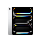 256GB Wi-Fi / Silver / Standard glass