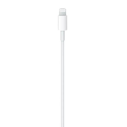 Apple USB-C to Lightning Cable (1m)